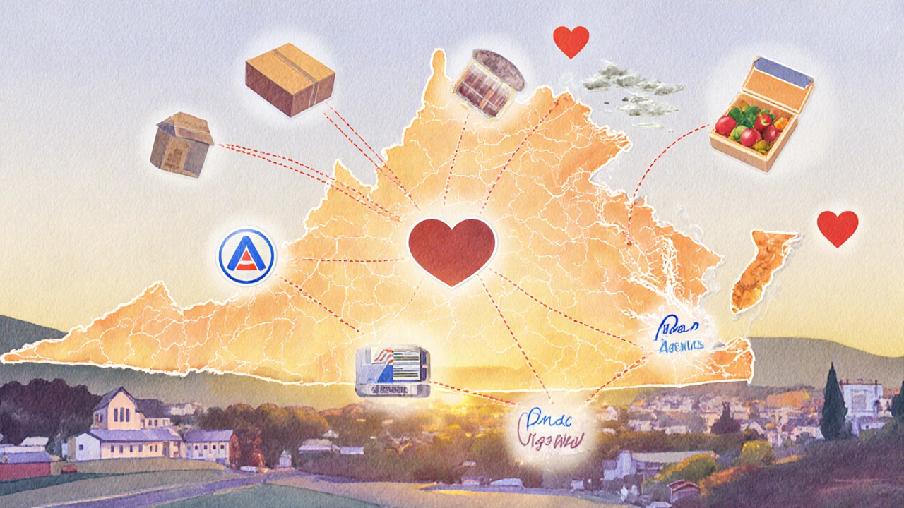 A watercolor map of Virginia showing food delivery routes and meal support connecting communities for seniors.