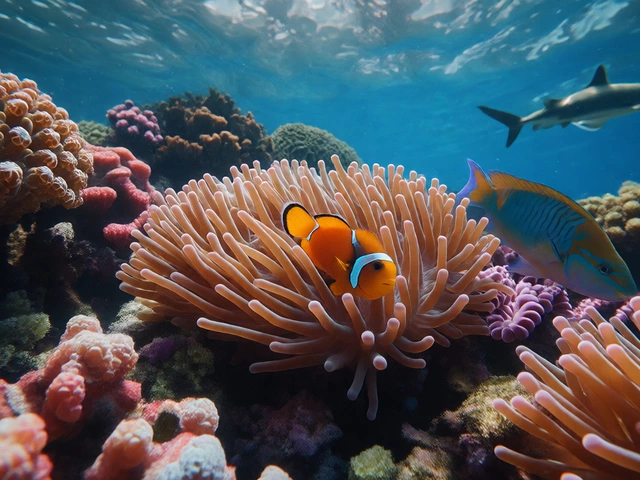 What is an Example of a Community in the Environment? Real-World Ecosystems Explained